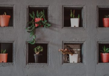 Potted plants arranged in concrete wall compartments representing modular componentized architecture design